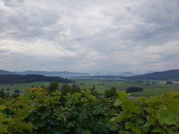 Veranstaltungen &raquo; Friedburg &raquo; 2019 Friedburg